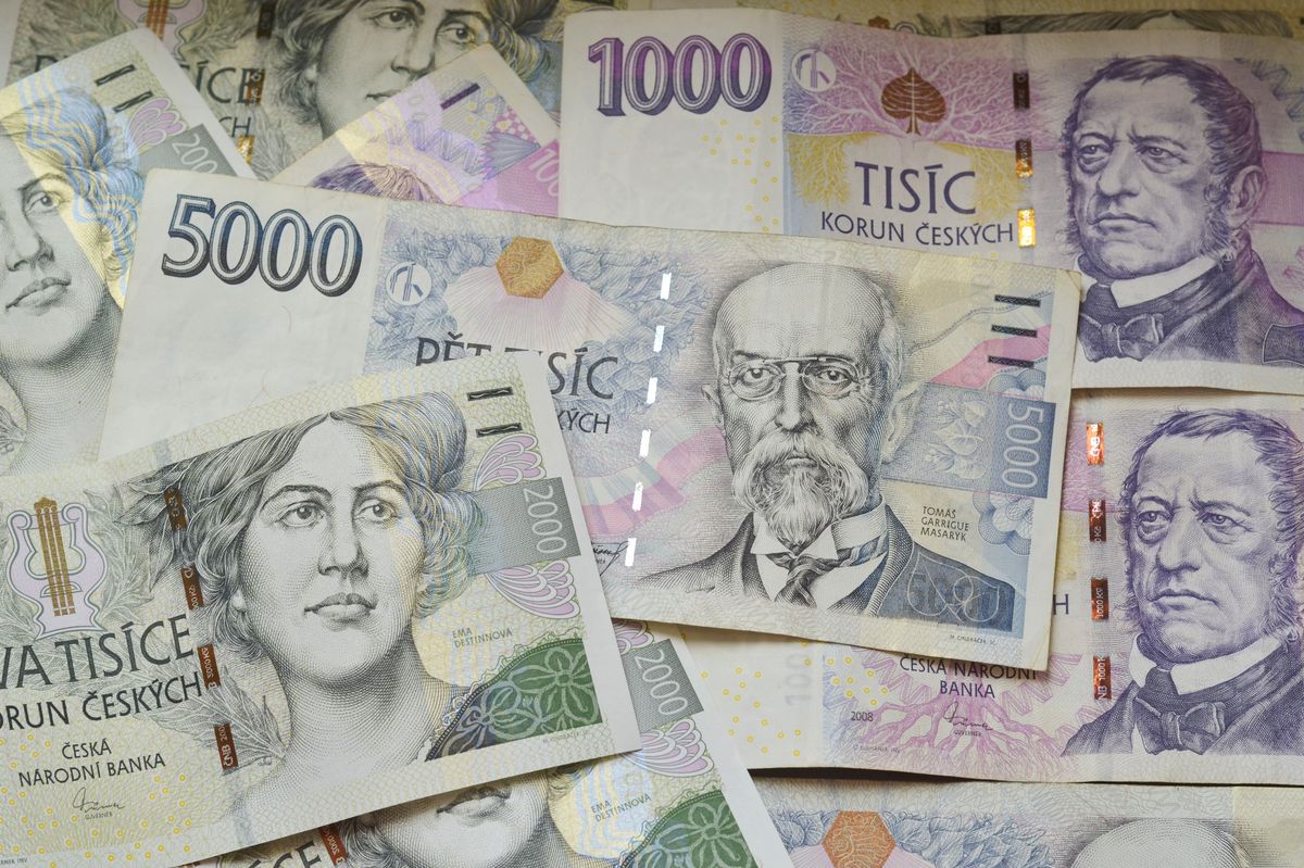 Kam jdou peníze, které stát posílá na zastropování cen energií velkým firmám?