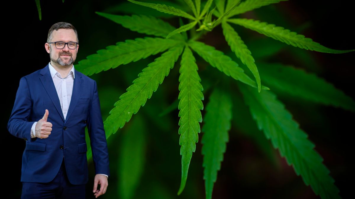 Recept na bezpečnější Česko? Legalizace konopí