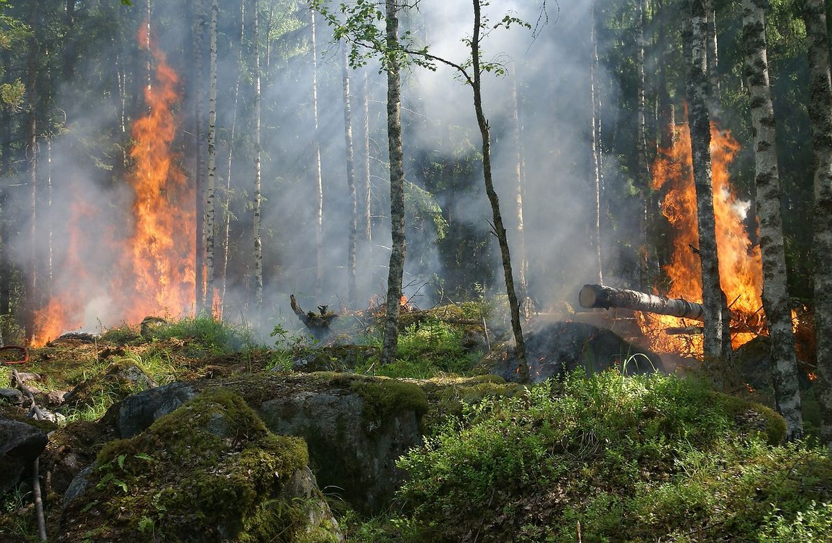 Změna klimatu? Můžeme ji řešit, musíme ale přestat ustupovat fosilní lobby