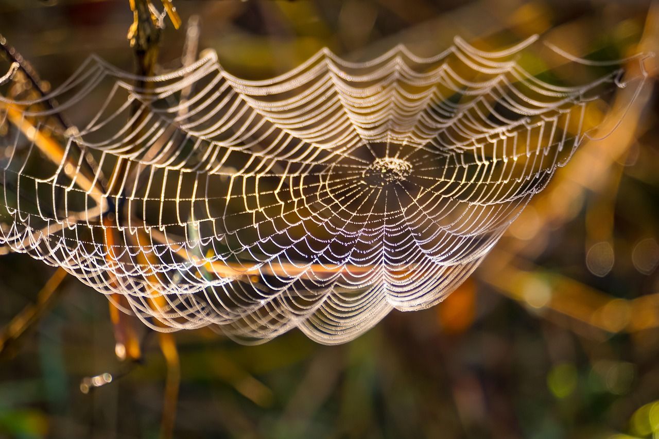 Kauza Bitcoin ukázala, že bitcoinům rozumí jen málokdo