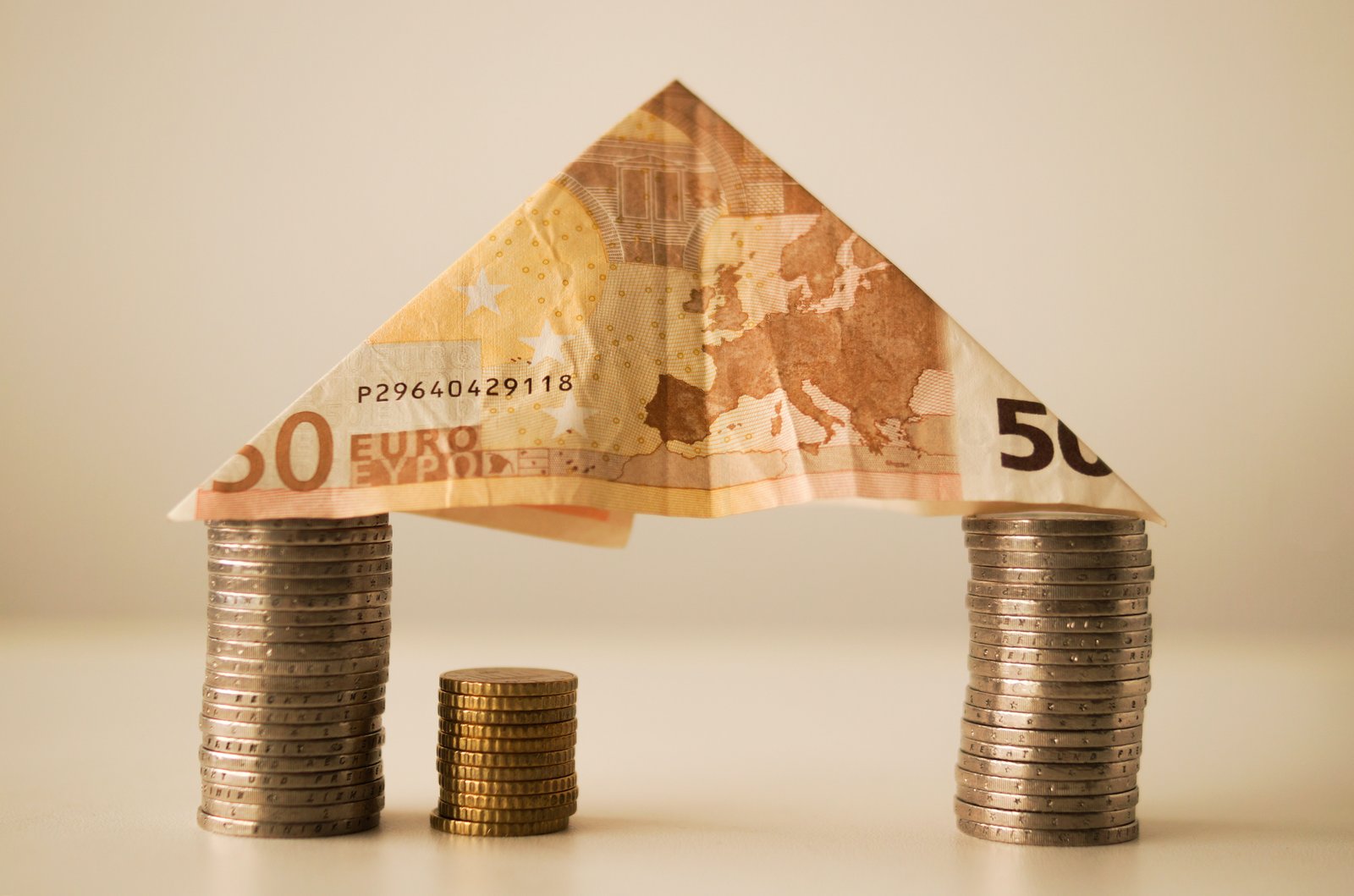 WANTED: Euro and finance campaigner